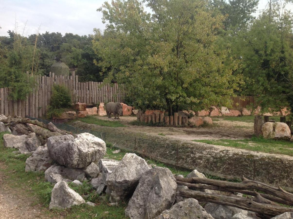 Residenza Al Sogno - On Lake Garda Cavaion Veronese Zewnętrze zdjęcie