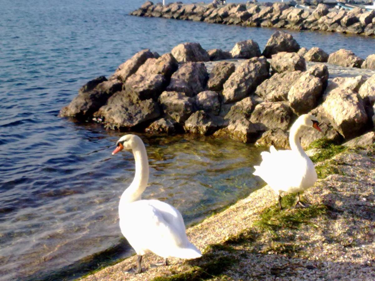 Residenza Al Sogno - On Lake Garda Cavaion Veronese Zewnętrze zdjęcie